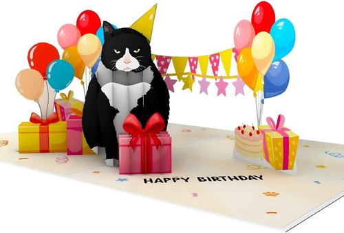 4BO Black Cat Pop-Up Birthday Card - Funny 3D Greeting Card for Cat Lovers | Unique Gift for All Ages