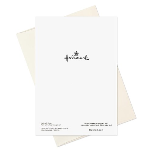 Hallmark Religious Boxed Christmas Cards Assortment, Nativity (40 Cards and Envelopes)