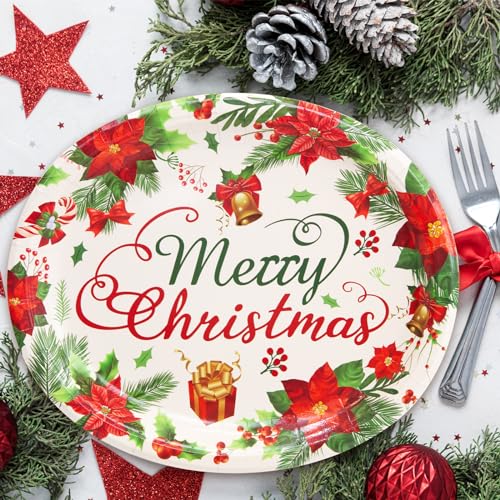 Christmas Paper Plates 24 Pack - Holiday Disposable Serving Plates with Poinsettia Design