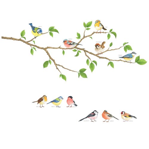 DECOWALL DS4-8036 Garden Birds Kids Wall Stickers Wall Decals Peel and Stick Removable Wall Stickers for Kids Nursery Bedroom Living Room (Small) Decor