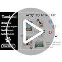 Cat Paw Print Fridge Magnets - 20pcs Colorful Cute Set