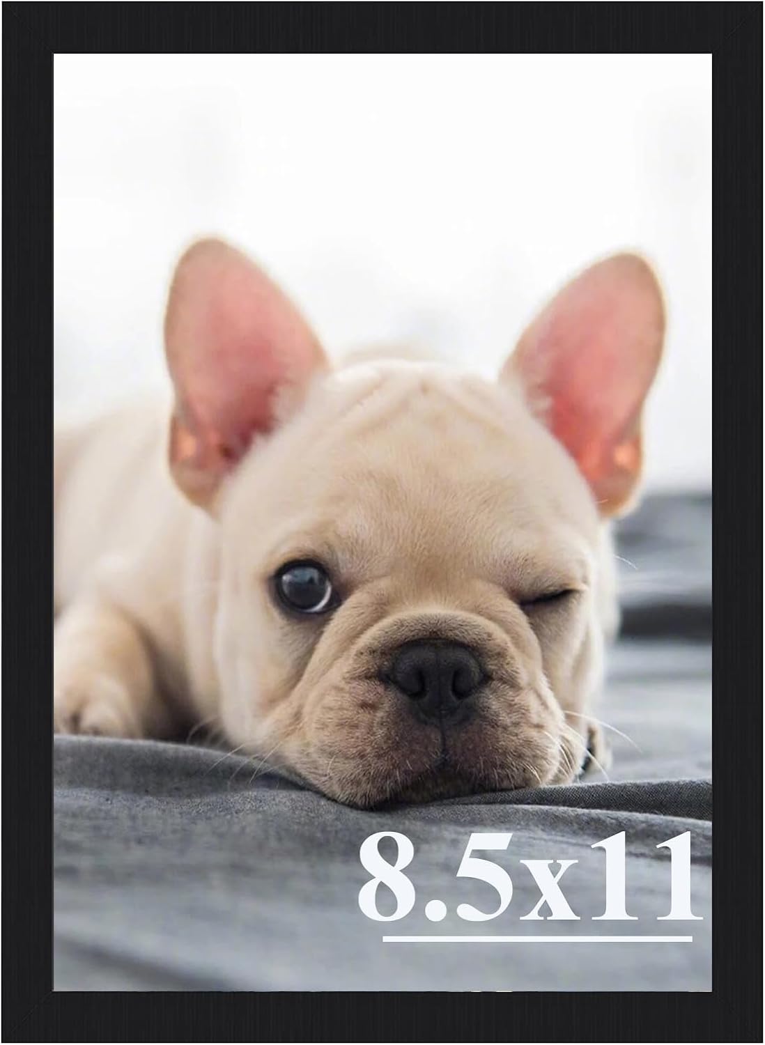 Stable Black Picture Frame by [Brand Name] - 8.5x11 High Definition Plexiglass for Horizontal & Vertical Display