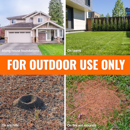 Terro Ant Killer Plus 3 lb Outdoor Pest Control Granules - 1 Pack