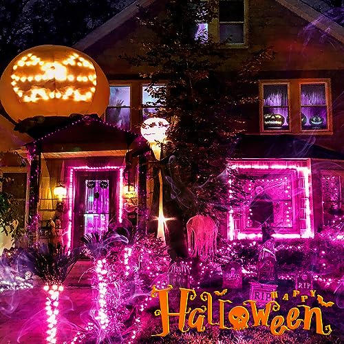 Purple Halloween Mini String Lights 2 Pack, 50 Count, 13FT Green Wire - Decorative Indoor & Outdoor Lighting