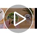 Fiskars 8" SoftGrip All-Purpose Scissors for Office & Crafts