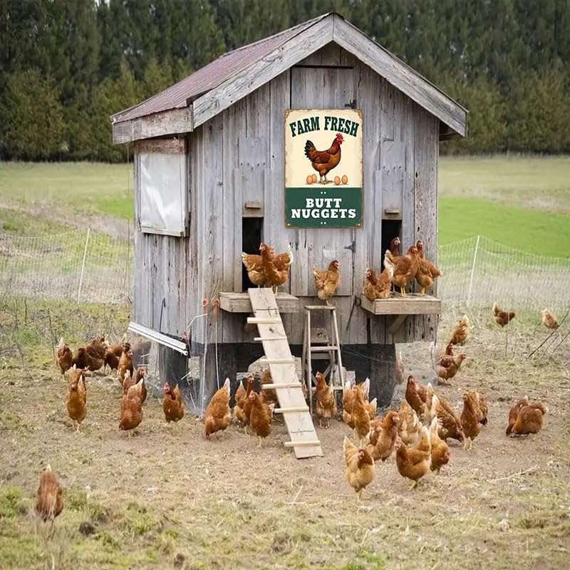 Funny Chicken Coop Metal Sign, 8x12 Inch Tin Decor