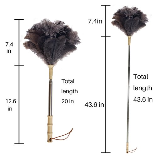 Aldwin Ostrich Feather Duster with Extension Pole Up to 43 inch, Genuine Fluffy Natural Reusable Handheld Feather Dusters for Cleaning Supplies, Washable, Car, Office, Desk, Blinds