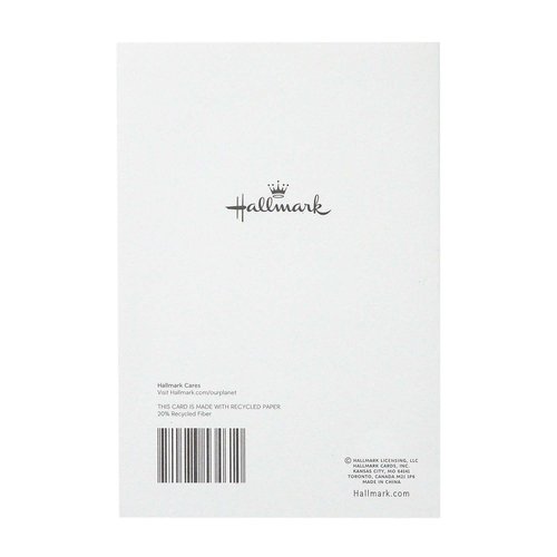 Hallmark Sympathy Cards Assortment Pack (5 Condolence Cards with Envelopes)