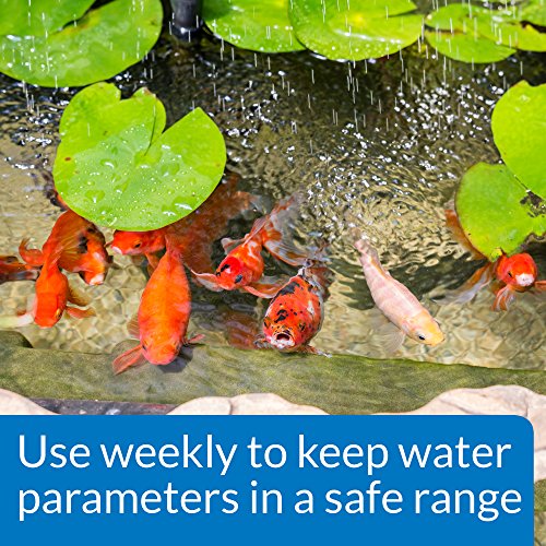 API Pond Wide Range pH Test Kit - 160-Test Liquid Water Monitoring