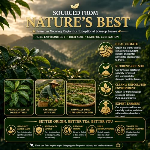 WOTIHA Soursop Graviola Tea Bags - 45 Count, 100% Natural & Vegan