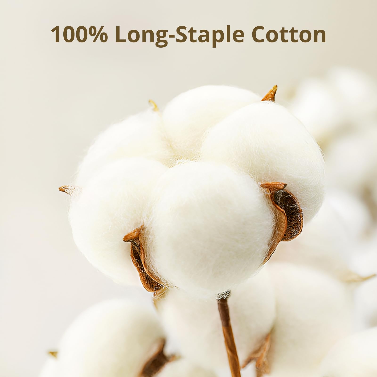 Queen Fitted Sheet Only, 100% Long-Staple Cotton Dual-Lock Fitted Sheet for Queen Bed, Luxury Soft and Comfort, No Slippage, 1000 Thread Count, Deep Pocket Fits 9" to 14" Mattress