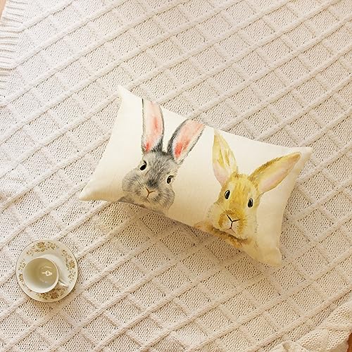Easter Bunny Lumbar Throw Pillow Cover 12x20 Inch Spring Rabbit Cushion Case