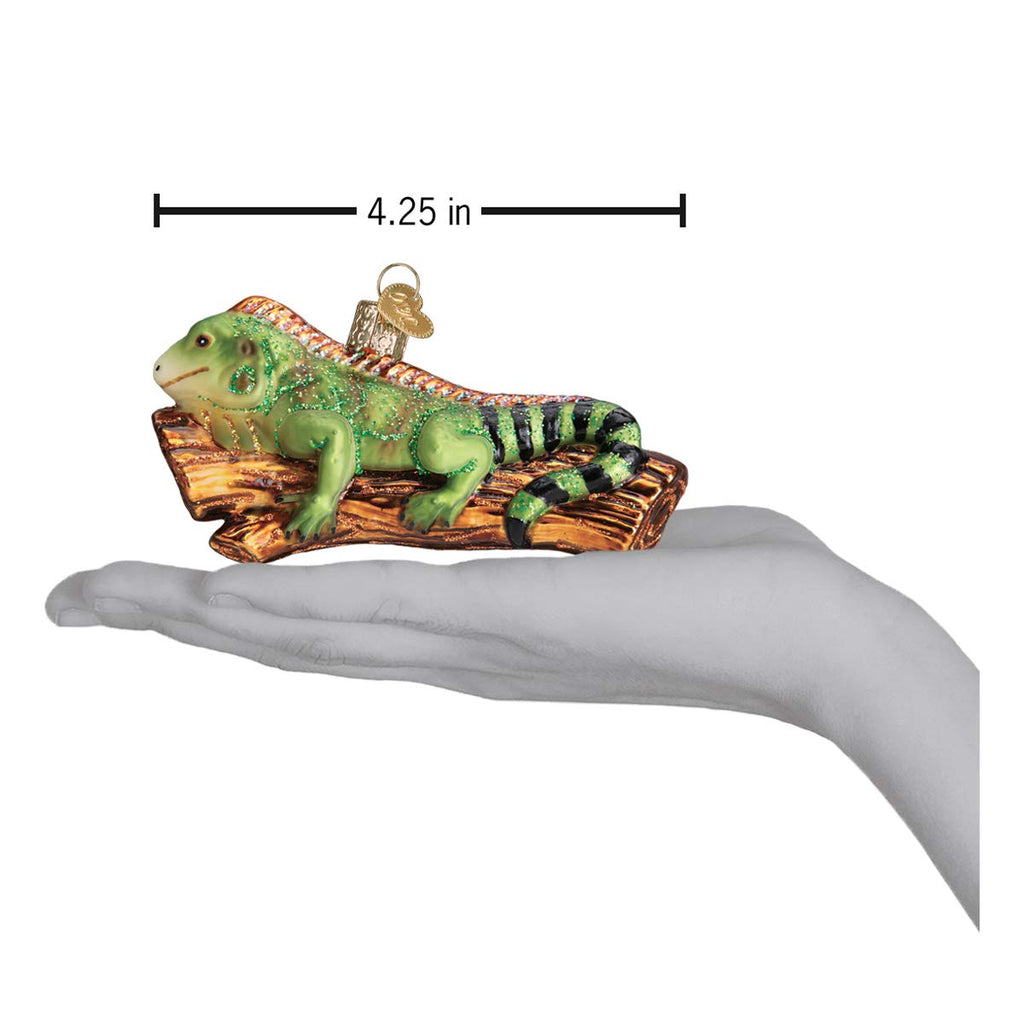 Old World Christmas Iguana Glass Blown Ornament for Christmas Tree, Handcrafted Holiday Decoration, Wildlife Animal Collection