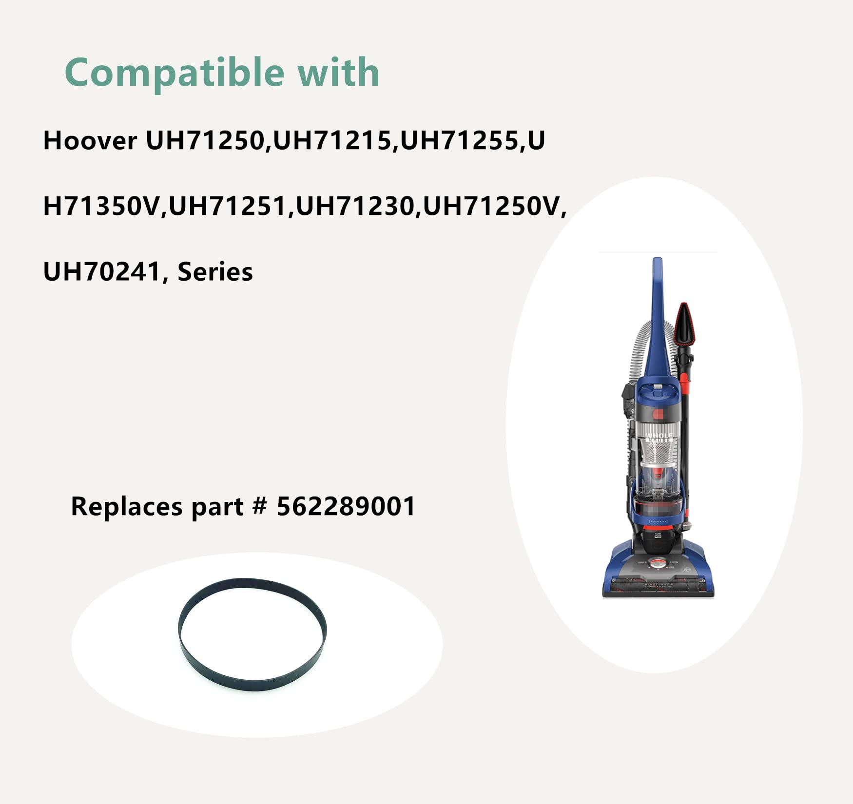 Part 562289001,Replacement Belts for Hoover Whole House Rewind Pet Vacuum,Fits Models UH75250，UH71250,UH71251,(Pack of 2)
