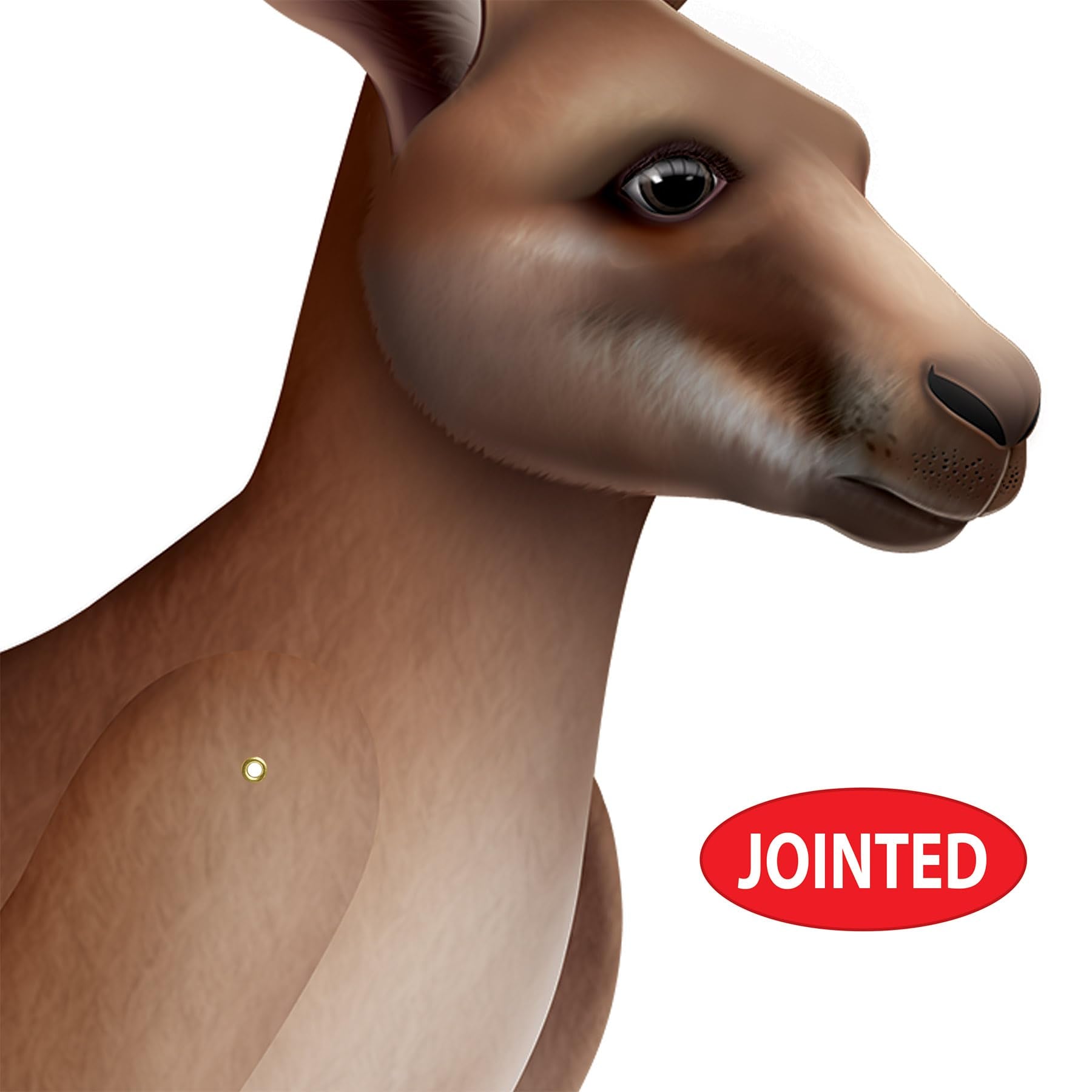 Beistle Jointed Kangaroo Decoration, Australian Outback Party Supplies, Classroom Wall Décor, Vacation Bible School Props, Birthday Party Accent, 31.5" x 30.75"