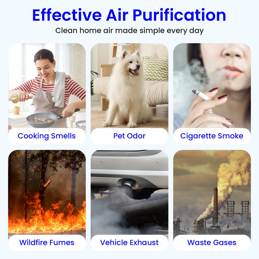 Future Way 2-Pack C545 Replacement Filter S Kit Compatible with Winix C545 Air Purifier, 2 H13 True HEPA Filter + 8 Activated Carbon Filters, Replace 1712-0096-00