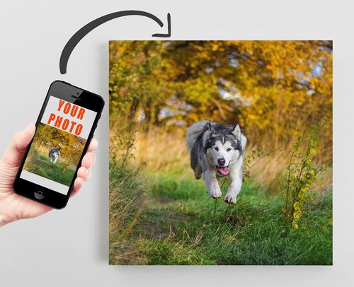 Framed Canvas Prints - Personalized Photo Wall Art | Custom Paper Poster Available