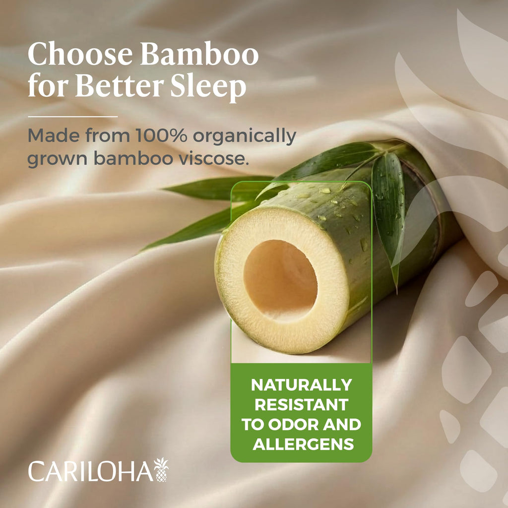 Cariloha Aloha Soft 100% Organic Bamboo Viscose Sheets – 4-Piece Queen Sheet Set – 16 in Deep Pockets – Buttery Soft, Hypoallergenic, Cooling Sheets – Oeko-TEX Standard 100 – Natural