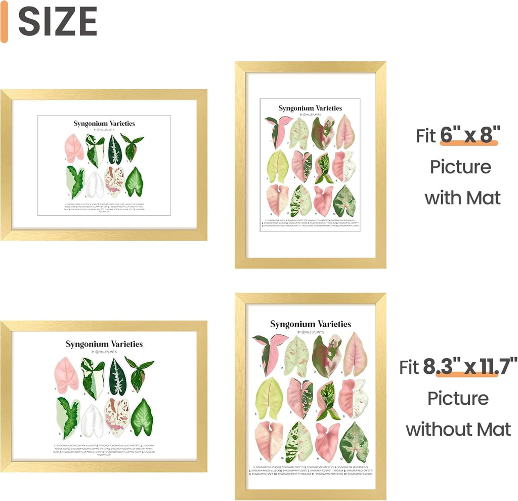 Upsimples A4 Picture Frame - Elegant Gold Display for 6x8 Photos with Mat or 8.3x11.7 Without - 1 Pack