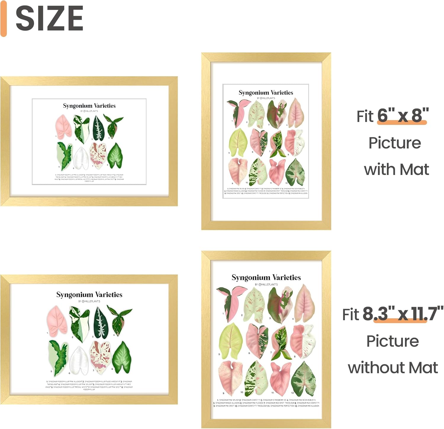 Upsimples A4 Picture Frame - Elegant Gold Display for 6x8 Photos with Mat or 8.3x11.7 Without - 1 Pack