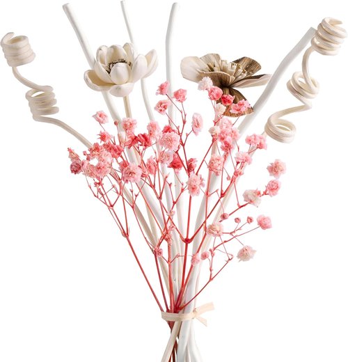 Cocorrína Reed Diffuser Sticks - Preserved Flower Aroma Sticks for Home & Office Decor | Pink