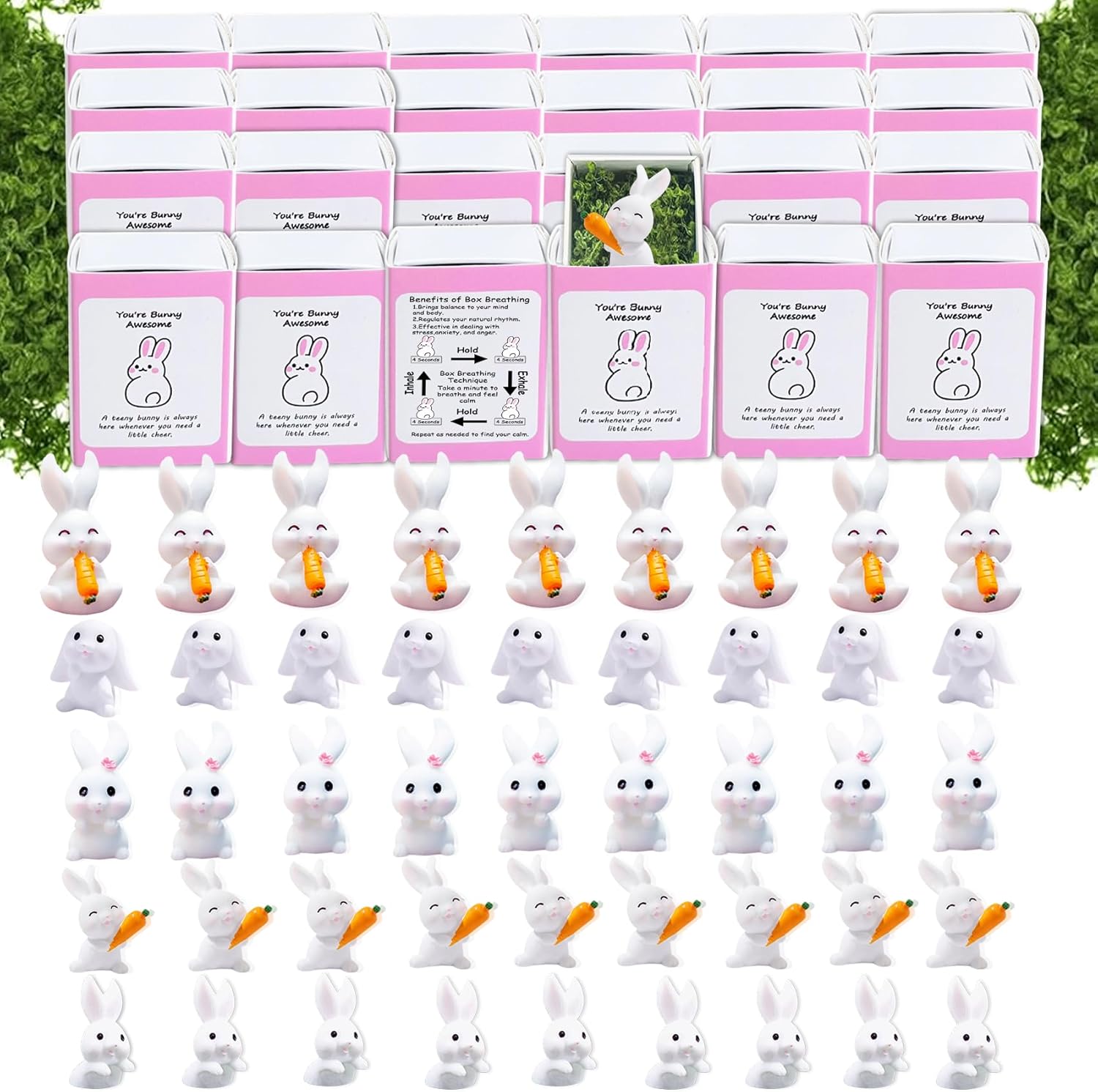Regine Switzerland Positive Rabbit Gifts - 50 Set Employee Appreciation Box with Cheer Up Cards