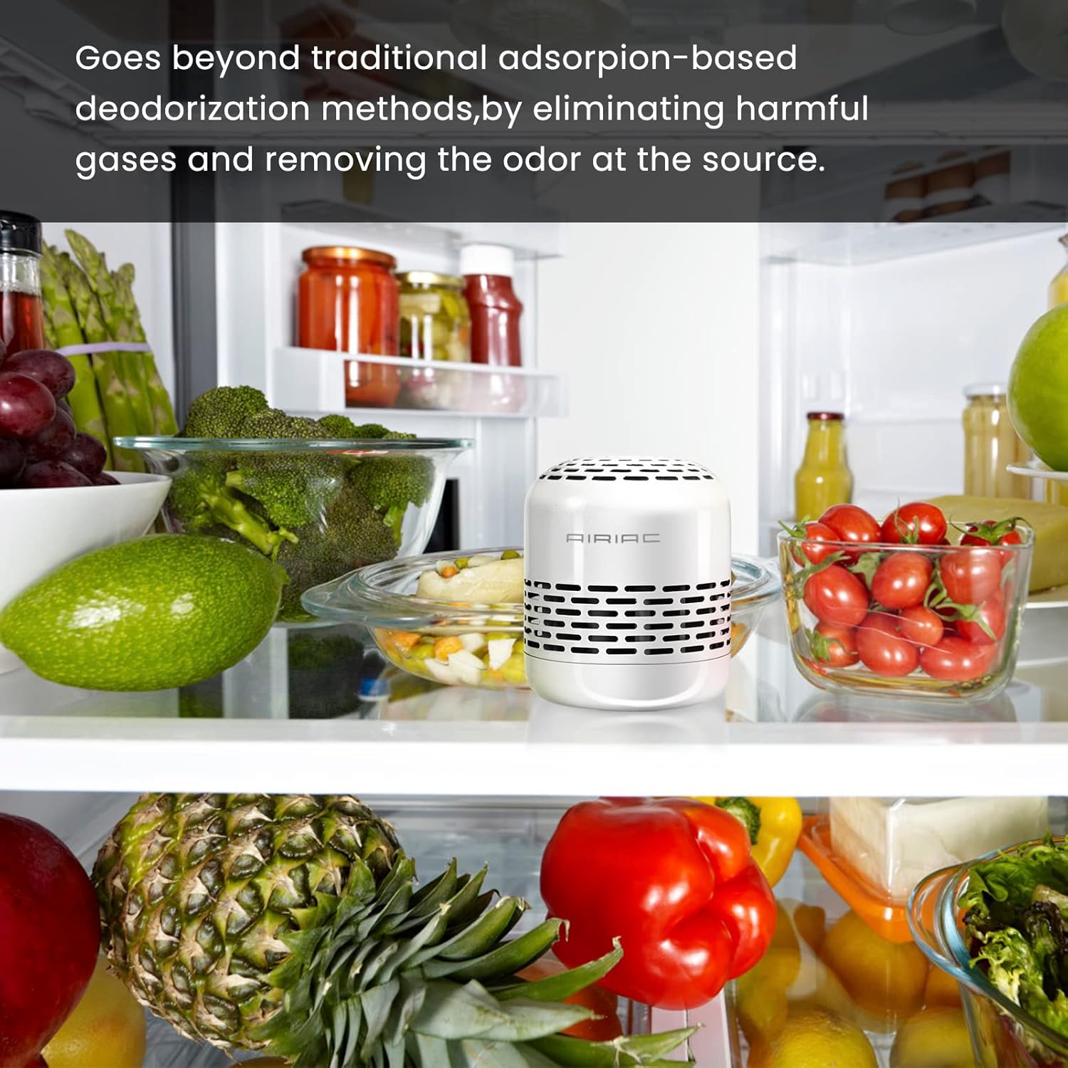 Skiennix Fridge Deodorizer - 10-Year Odor Eliminator | Charcoal Bags for Fresh Fridge & Freezer