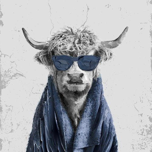 Highland Cow Wall Art - 4 Piece Funny Bathroom Decor | Cute Cow Prints for Restroom & Washroom