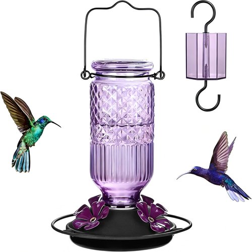 FEED GARDEN Glass Hummingbird Feeder - 16 Oz Purple & 20 Oz Red for Vibrant Garden Decor