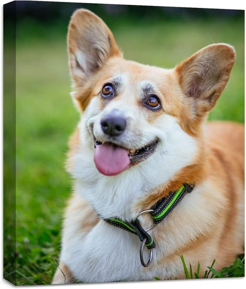 Custom Canvas Prints - Personalized Framed Wall Art | High Definition Photo Decor (8" L x 10" W)