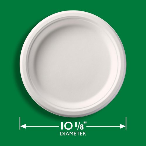 Hefty ECOSAVE Compostable Paper Plates - 10-1/8 Inch, Eco-Friendly, 45 Count Pack