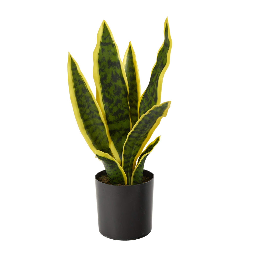 Nearly Natural 14-in Artificial Tall Snake Plant Sansevieria, Yellow Faux Snake Plant for Indoor Home Decor in Black Nursery Pot, Fake Plant for Office, Living Room, Bedroom, Tabletop, DIY