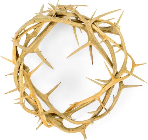 Cottage Garden Crown of Thorns - Real Wood Gift Box with Scripture Tag | 6-Inch Round