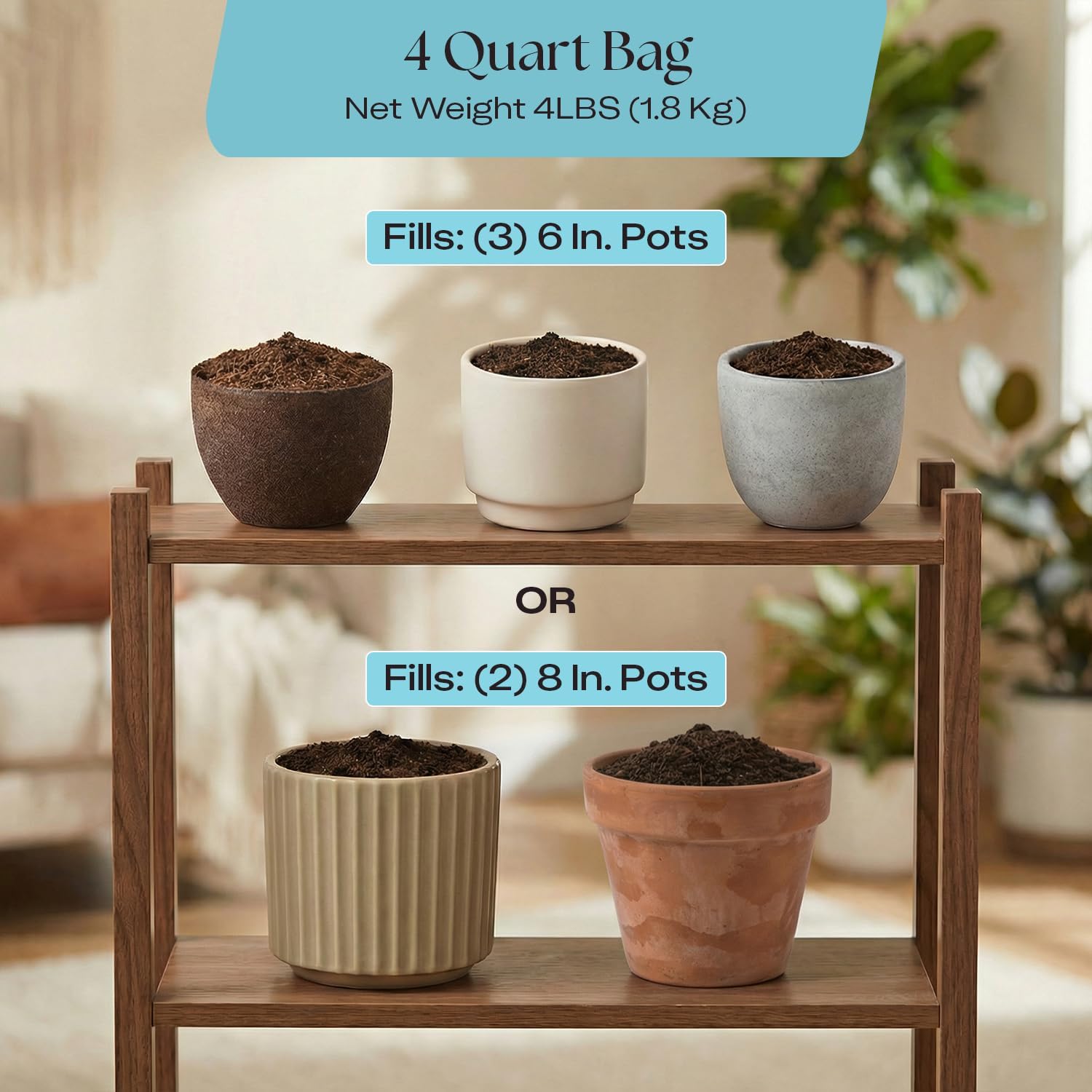 Rosy Soil Indoor Potting Soil - Organic Mix Enriched with Biochar for Healthy House Plants | Peat-Free, 4qt