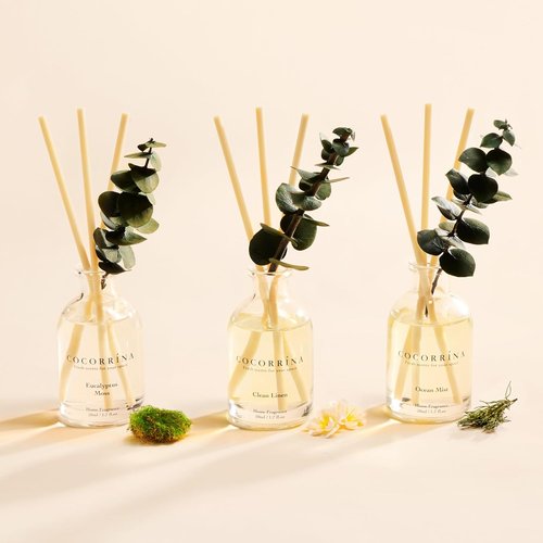 COCORRÍNA Eucalyptus Reed Diffuser Set - 3 Invigorating Scents: Eucalyptus & Moss, Clean Linen, Ocean Mist | 5.1 oz Total