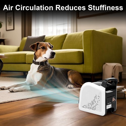 Huilynsen Air Mover Blower Fan - Floor Drying Fan for Cooling, Drying and Exhausting at Home, Job Site, Garage, Shop, 3 Speeds Portable Utility Fan, 2 AC Outlets and Circuit Breaker with Reset