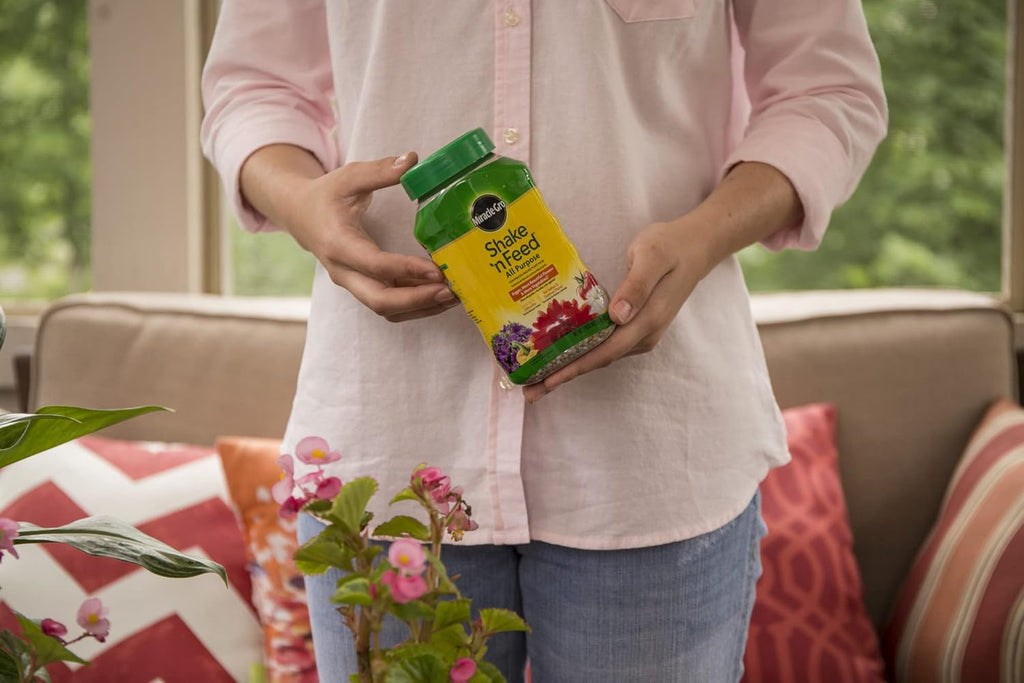 Miracle-Gro All Purpose Plant Food - Continuous Release Fertilizer, 1-Pound for Thriving Plants