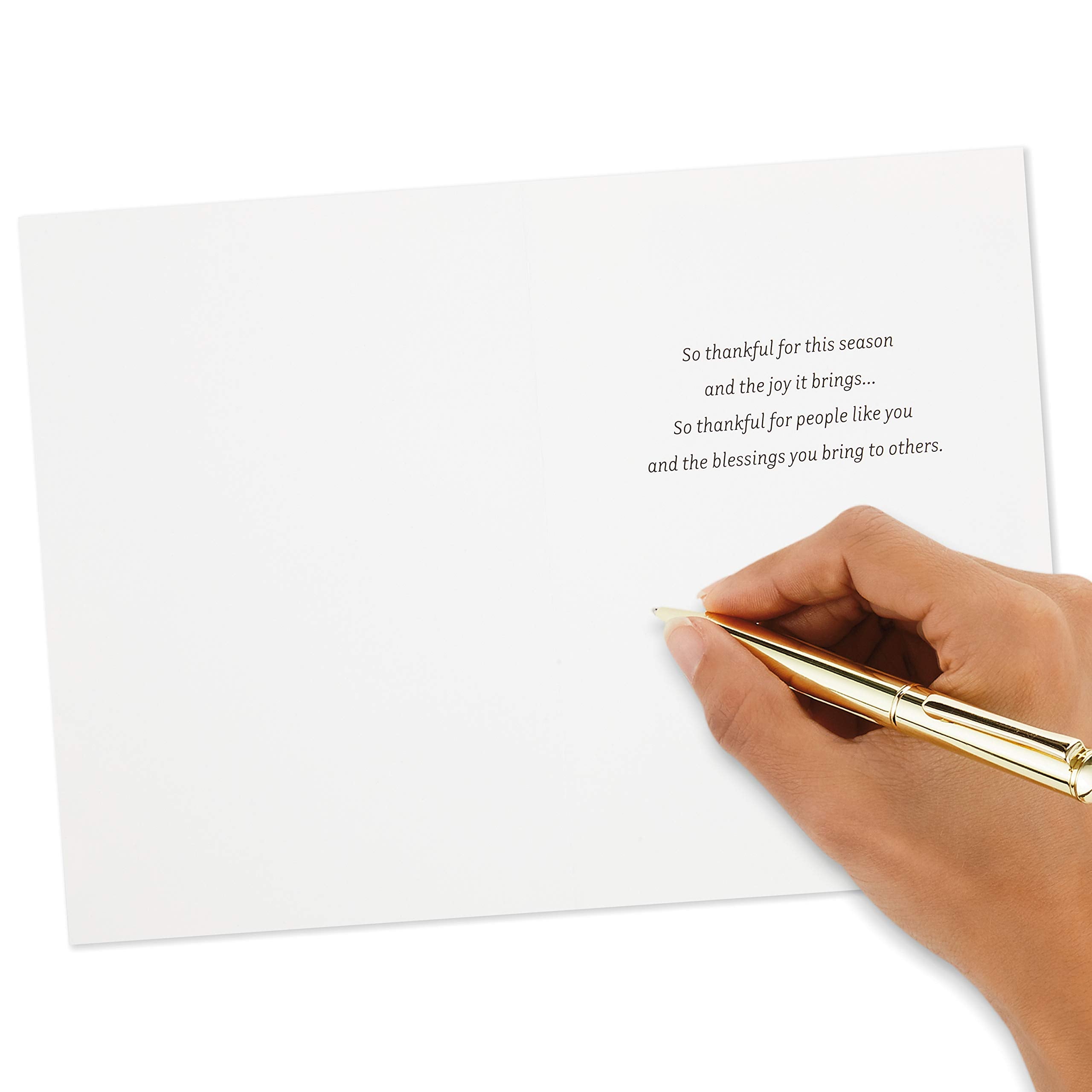 Hallmark Thanksgiving Cards Assortment, Hello Fall (16 Assorted Seasonal and Blank Cards with Envelopes)