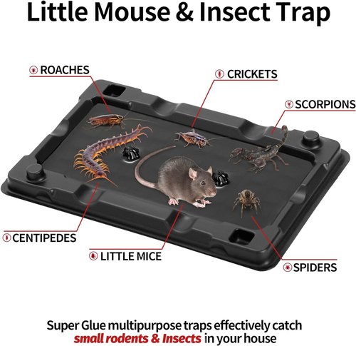 LULUCATCH Mouse & Insect Traps - 12 Pack of Non-Toxic, Heavy-Duty Sticky Traps for Home Use