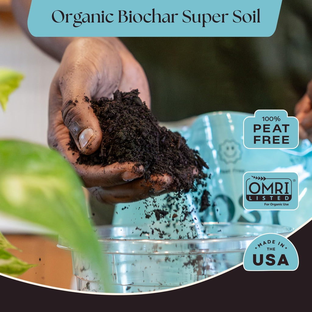 Rosy Soil Indoor Potting Soil - Organic Mix Enriched with Biochar for Healthy House Plants | 8qt