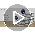 LANE LINEN 18x28 Inch Cotton Dish Towels 4 Pack Beige - Soft & Absorbent Kitchen Towels