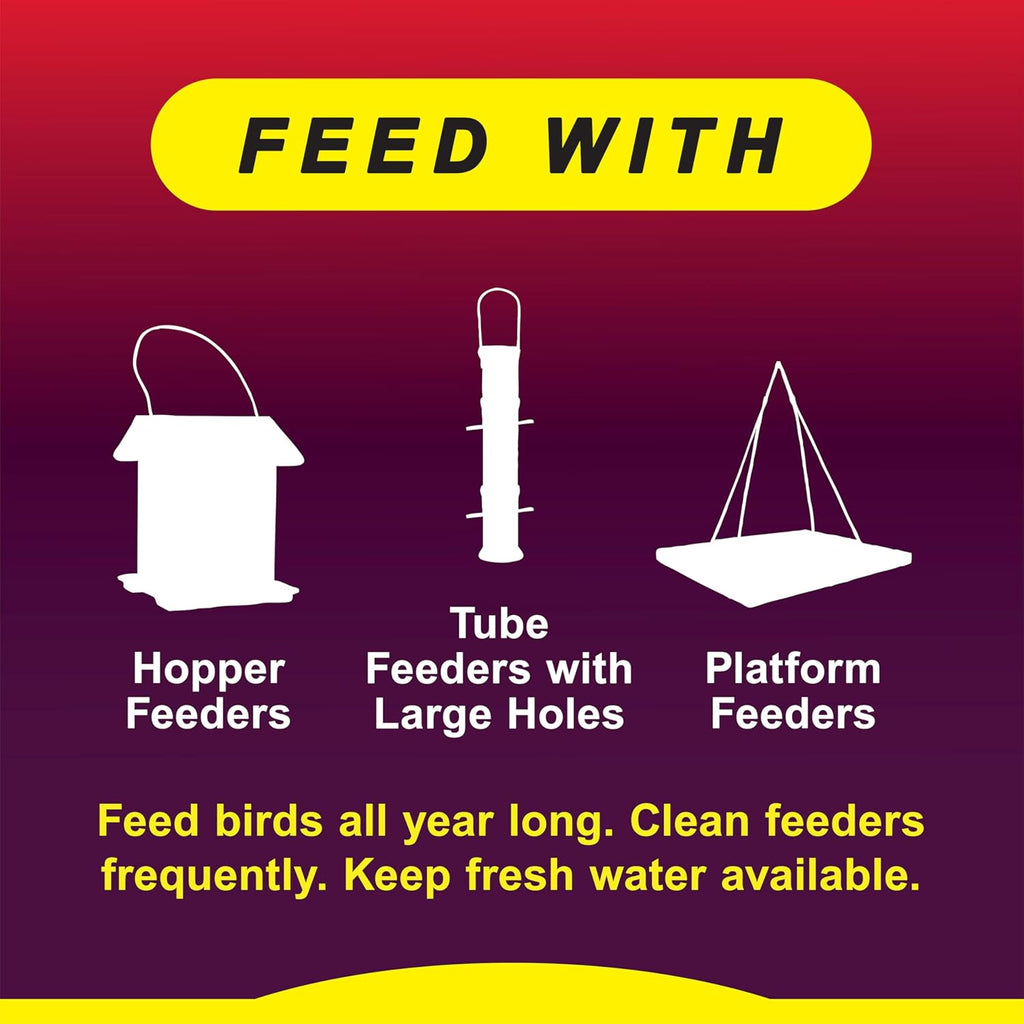 Wild Delight Advanced Formula Wild Bird Food - Zero Waste, 5lbs for Healthy Feeding