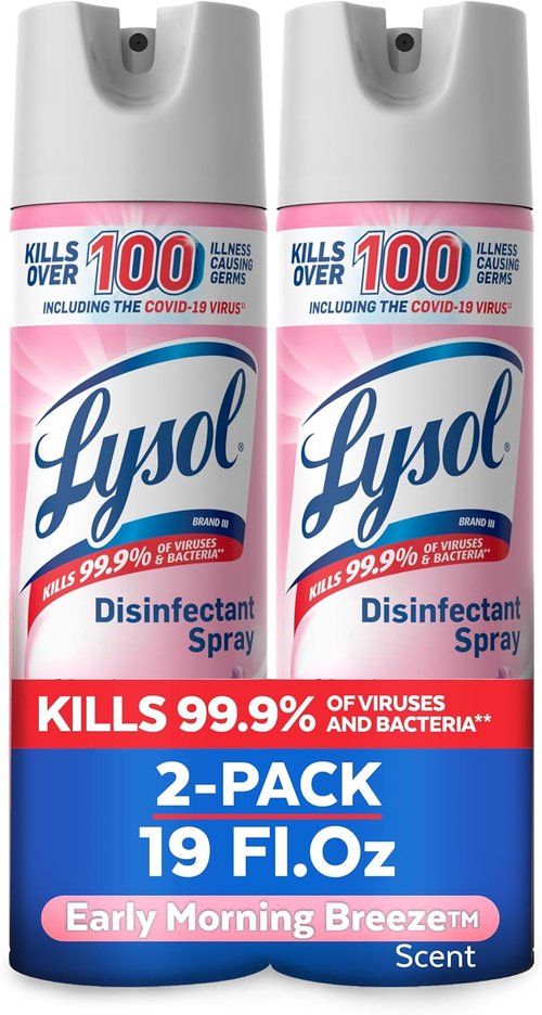Lysol Disinfectant Spray - Antibacterial & Sanitizing Spray, Early Morning Breeze, 19 Fl Oz (Pack of 2)