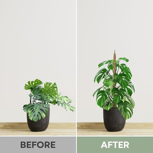 K-Brands 3 Pack Bendable Moss Pole | 48'' & 28'' Monstera Plant Support for Indoor Climbing Plants