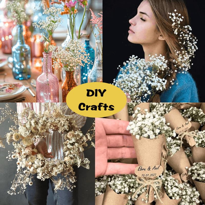 Ivory Dried Baby's Breath Flowers Bouquet Bulk 6000+ Stems for DIY Crafts & Decor