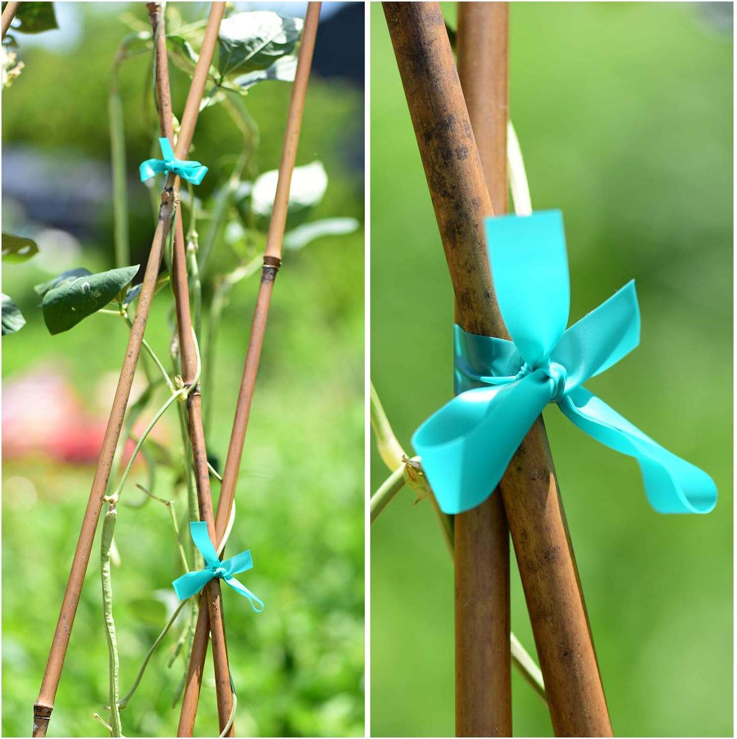 TELENT OUTDOORS Stretch Tie Tape - 150 Feet x 1/2" Wide Green Garden Plant Support | Durable Vinyl for Climbing Plants
