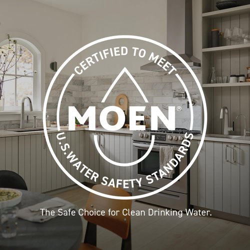 Moen 6399EP Level One-Function Eco-Performance Shower Head, Chrome