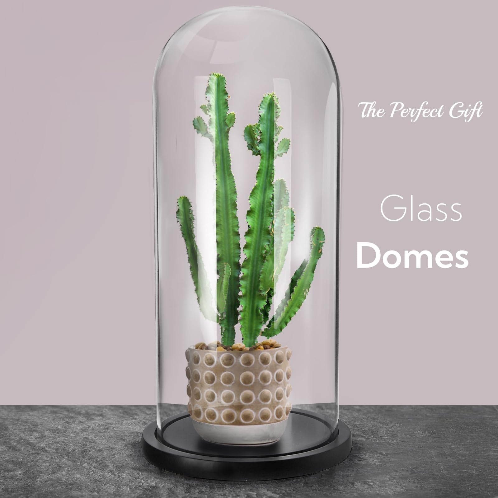 ZOOFOX 13.8 Inch Tall Glass Dome with Base, Clear Glass Empty Display Cloche, Decorative Bell Jar for Succulents, Collectibles, Fairy Lights, Photos, Medals, Heirlooms