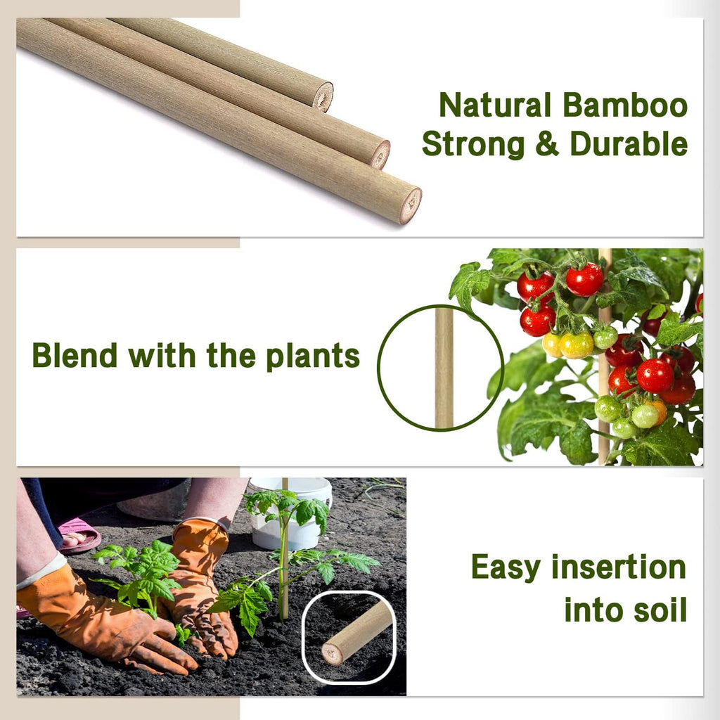 BOVITRO 12-Inch Natural Bamboo Plant Stakes - 20 Pcs Support for Tomatoes, Beans & Potted Plants