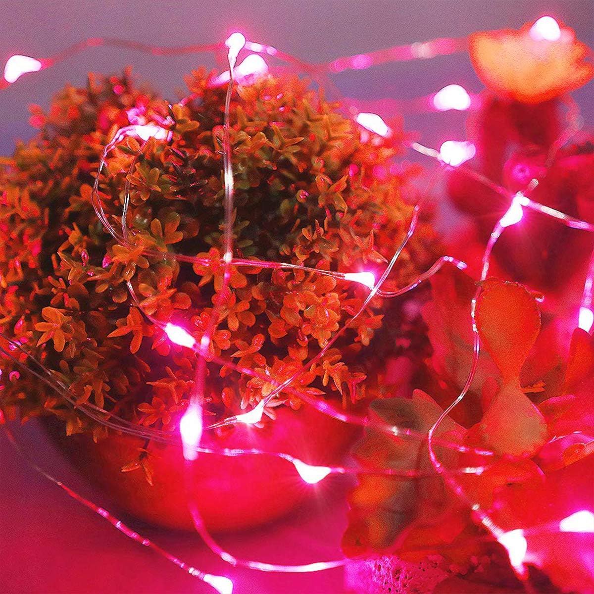 Ariceleo LED Fairy Lights - Battery Operated Copper Wire String Lights | 5m/16ft Red for Bedroom & Parties